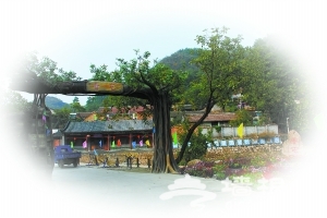 世外桃源香屯村[墙根网]