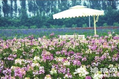 京郊开启农场生活 将时光挥洒在田野乡间