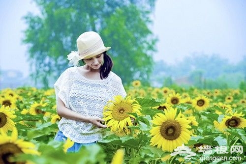 北京怀柔月牙湾自助游攻略(图)
