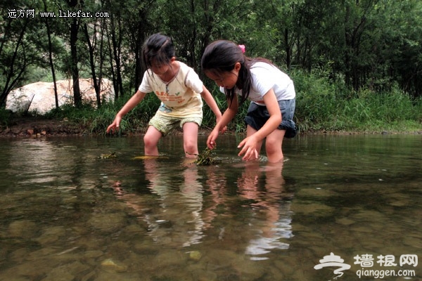 白河 白河