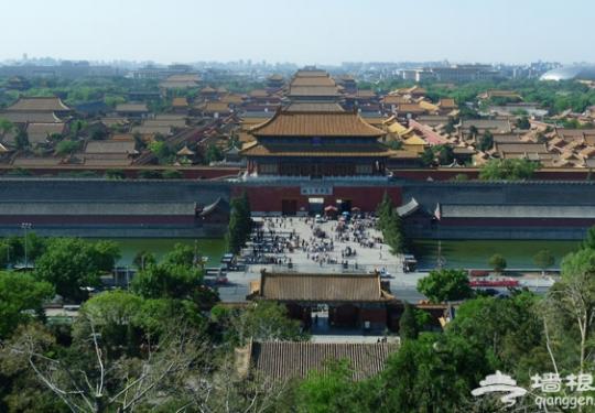 故宫里为什么没有古树