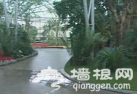 北京植物园展览温室