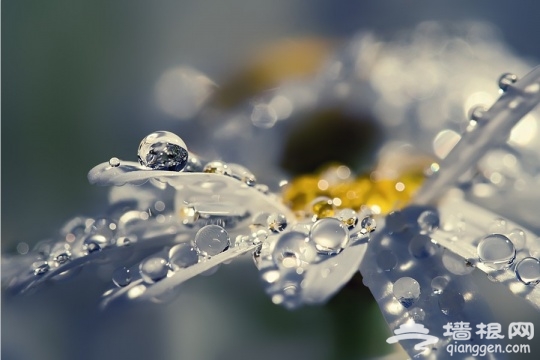 By Sortvind Canon EOS 350D