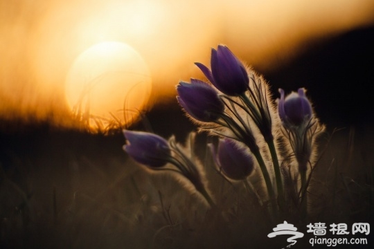 By Canon EOS-7D