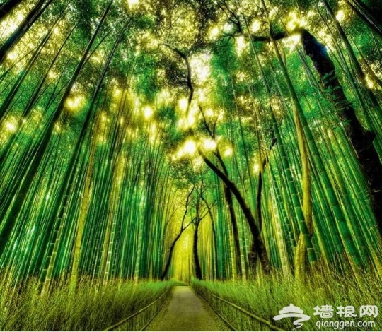 夏日美景拍摄攻略[墙根网]