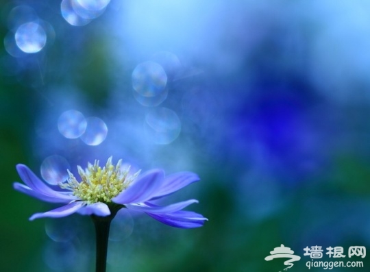 摄影 yaya gonohe canon 7d