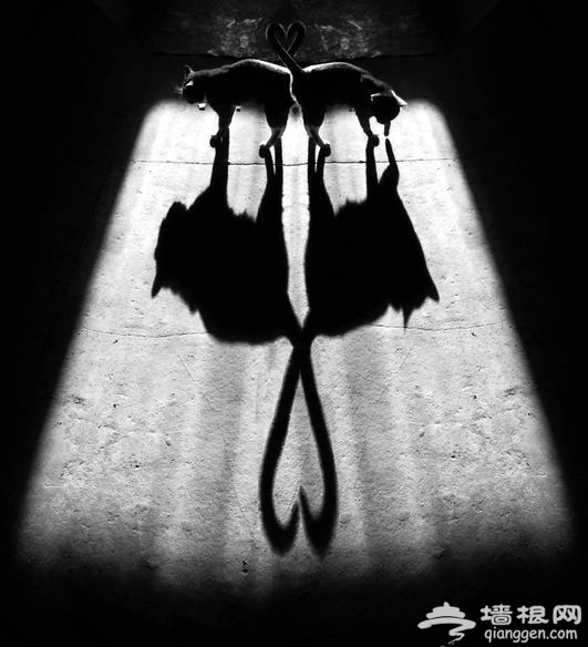 你没有尝试过的32种摄影方式[墙根网]