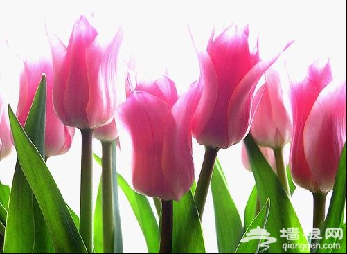 你没有尝试过的32种摄影方式[墙根网]