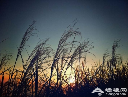 轻触的浪漫——用iPhone拍摄风景[墙根网]