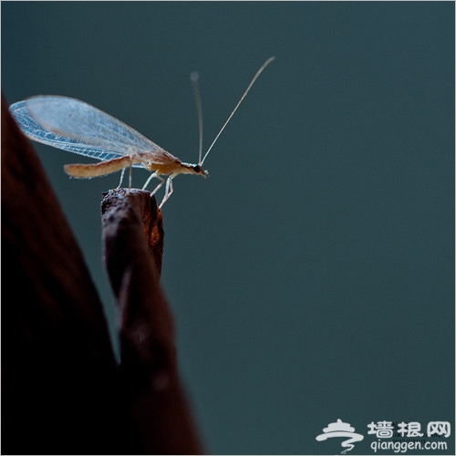 如何处理摄影作品中的虚空间