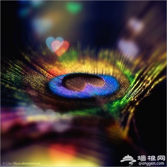 梦幻照片小技巧