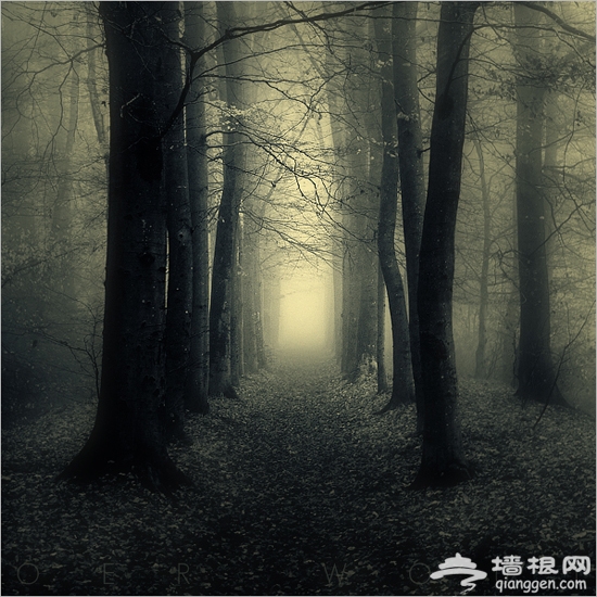 梦幻照片小技巧