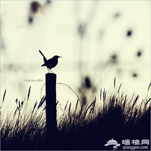 梦幻照片小技巧