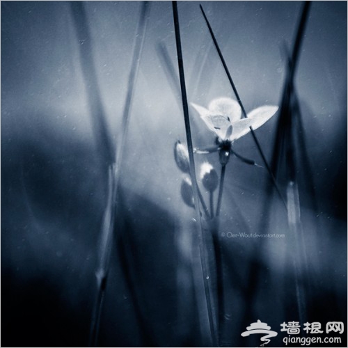 梦幻照片小技巧