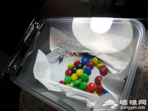 微距摄影：助你拍摄出美妙丰富的水滴作品[墙根网]