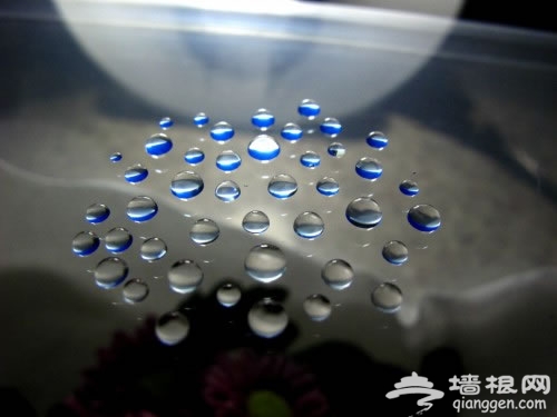 微距摄影：助你拍摄出美妙丰富的水滴作品[墙根网]