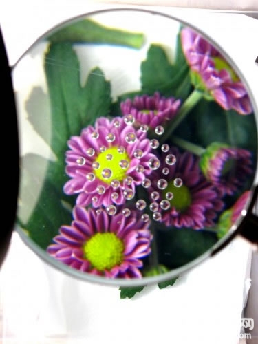 微距摄影：助你拍摄出美妙丰富的水滴作品[墙根网]