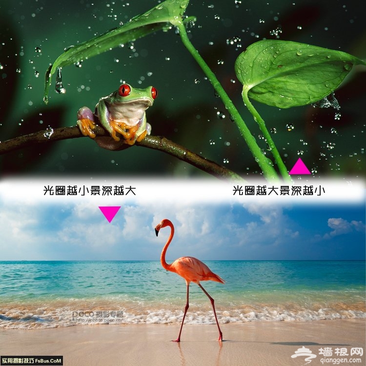 如何有效控制景深