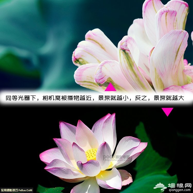如何有效控制景深