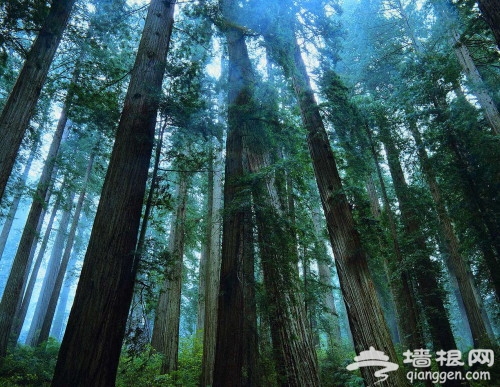 风景、人像拍摄指南