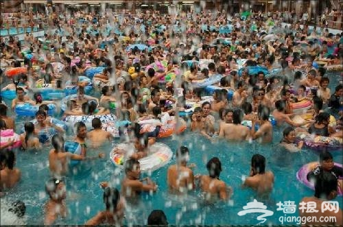 游泳池近半“尿”超标 为应对温泉下药[墙根网]