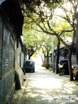 北京街头巷尾 细说那些人“冷落”的美丽风景