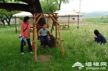 桥梓镇金秋九月游玩总攻略[墙根网]