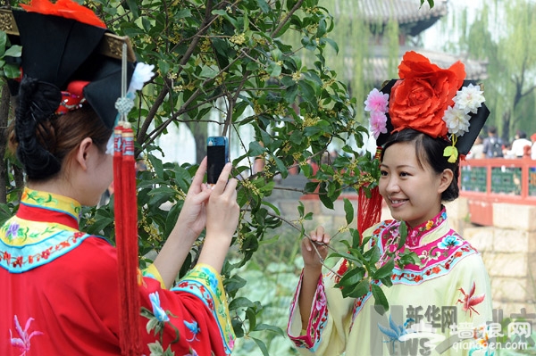 颐和园桂花飘香迎中秋[墙根网]
