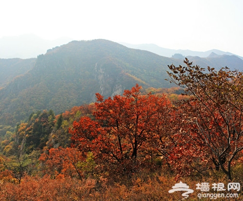 国庆中秋节 带您游怀柔