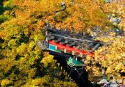 2012香山红叶 北京深秋的彩色记忆