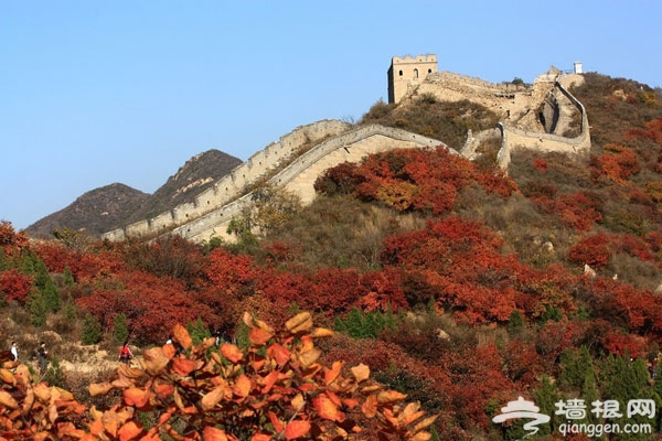 10月出游好去处 8大目的地感受北京金秋美景