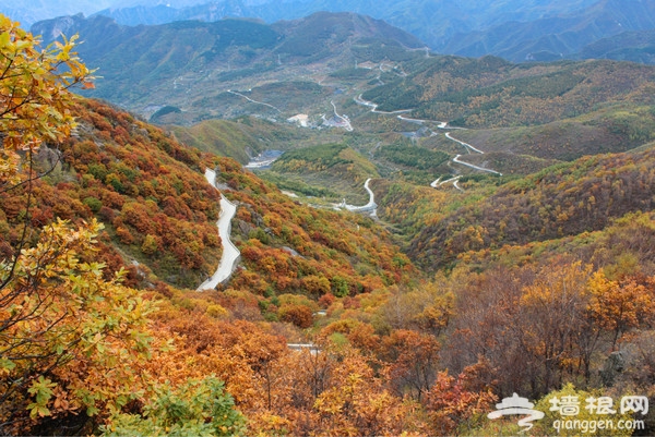 10月出游好去处 8大目的地感受北京金秋美景