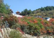 北京怀柔圣泉山景区第五届红叶节开幕