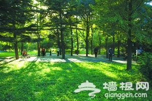 北京药用植物园 中医寻药好去处