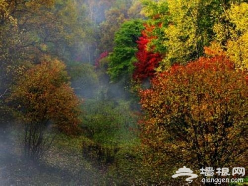 鹫峰国家森林公园——秋季红叶正当时