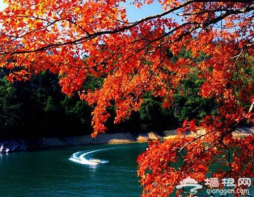 2012香山红叶文化节 游玩攻略指南