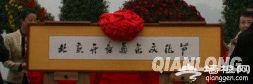 北京·开封菊花文化节今起在北海公园举办[墙根网]