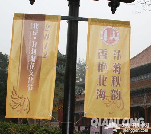 北京·开封菊花文化节今起在北海公园举办[墙根网]