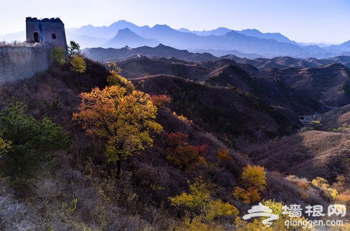 深秋最后的绚烂--行摄蟠龙山长城[墙根网]