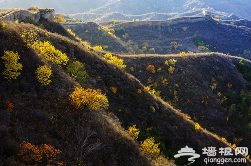 深秋最后的绚烂--行摄蟠龙山长城[墙根网]