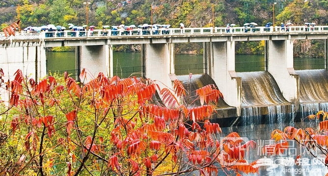 一叶知秋 最全北京赏“红”攻略[墙根网]