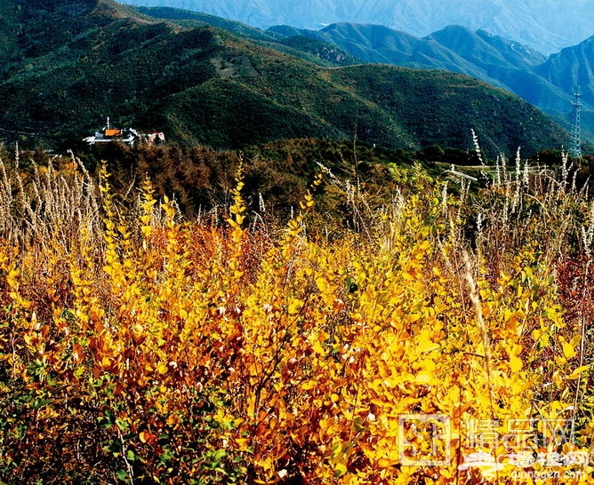 自行车上的风景 寻找最美的秋色[墙根网]