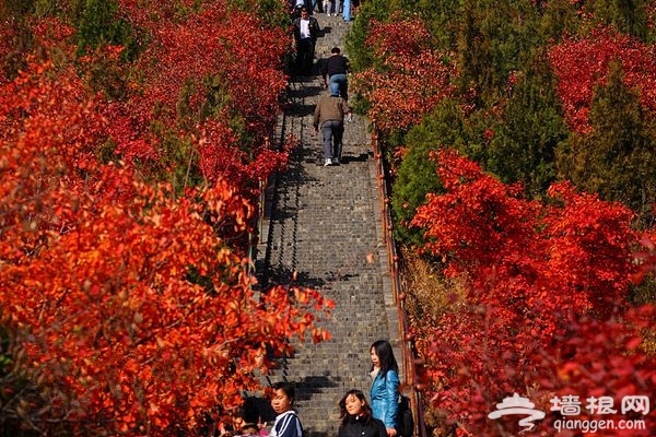 京郊一抹红：红螺山红螺寺赏红叶攻略推荐