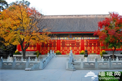 香山红叶节食色共赏 北京香山公园周边美食餐厅