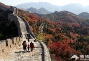 霜叶红于二月花 11月赏红叶目的地推荐