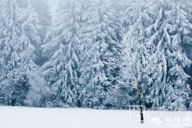冬日即景 跟随摄影师的镜头学习雪景拍摄[墙根网]