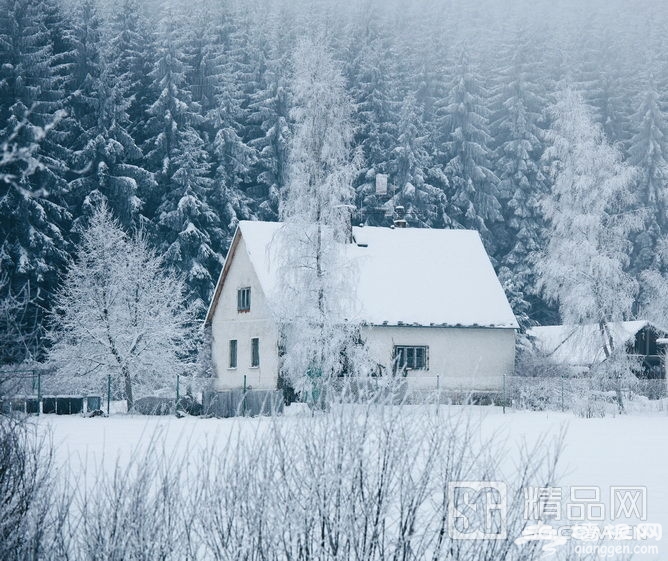冬日即景 跟随摄影师的镜头学习雪景拍摄[墙根网]