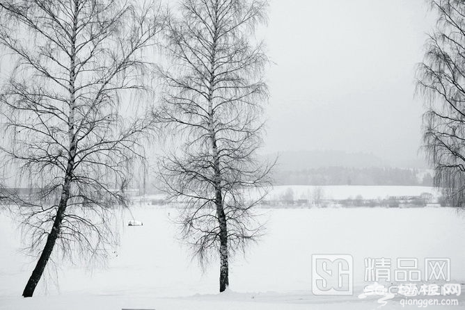 冬日即景 跟随摄影师的镜头学习雪景拍摄[墙根网]