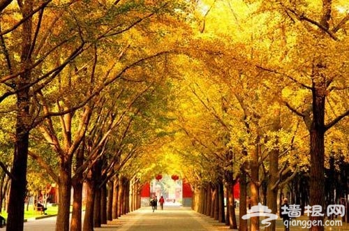玩转北京东城 五大线路感受皇室文化[墙根网]