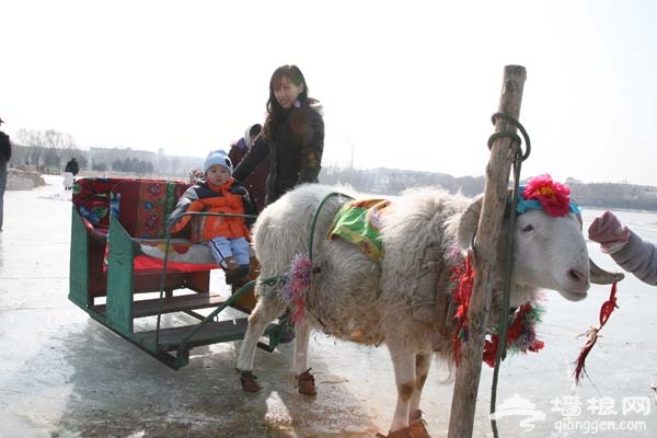 2013延庆冬季冰灯节、滑雪活动攻略[墙根网]